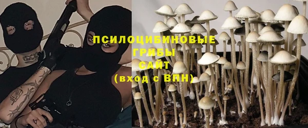 круглые Алзамай