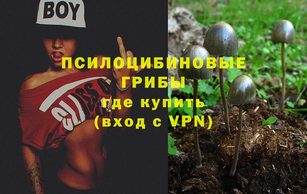 спайс Алексеевка
