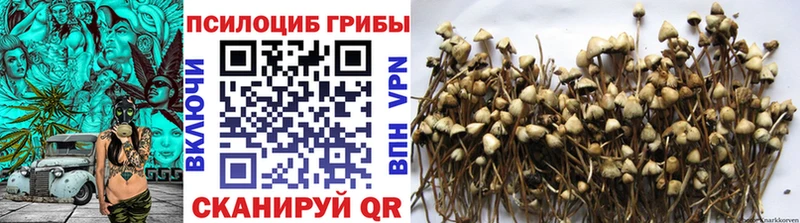 продажа наркотиков  Одинцово  Галлюциногенные грибы Psilocybe 